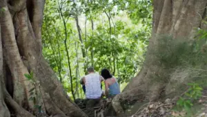 Couple sitting under large trees, surrounded by vibrant green foliage in a serene natural setting.