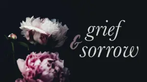 Pink peonies on a dark background with the words "grief & sorrow" artistically displayed, evoking deep emotions.