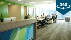 Modern office interior featuring green accent walls, collaborative workspaces, and a welcoming reception area.