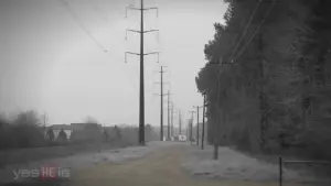 Power lines stretch along a gravel road surrounded by trees, creating a moody, monochromatic landscape.