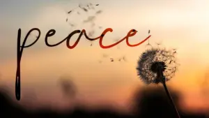 Dandelion and sunset background with the word "peace" artistically depicted, symbolizing tranquility and serenity.