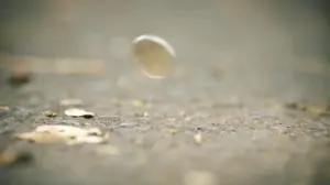 Close-up of a coin spinning on a textured surface with scattered leaves and debris in soft focus background.