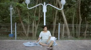 A person sitting on a blanket beneath a unique streetlight in a park surrounded by trees.