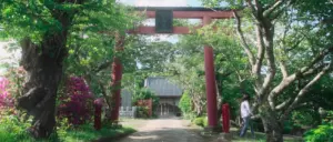 Traditional Japanese torii gate surrounded by lush greenery and vibrant flowers, leading to a serene temple entrance.