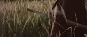 A person holding a wooden stick stands amidst tall golden grass in a serene outdoor setting.