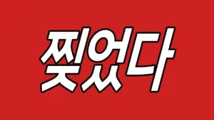 Bold white text "찍었다" against a striking red background, creating a vibrant and eye-catching design.