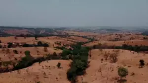 Aerial view of arid landscape with rolling hills, sparse vegetation, and a winding green valley in the distance.