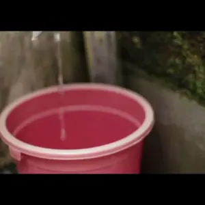 Close-up of a pink bucket collecting water droplets in a serene, natural setting. Water cascades gently into the bucket.