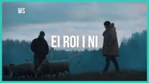 Two figures stand in a misty field with sheep, emphasizing a serene rural landscape and the text "EI ROI I NI."