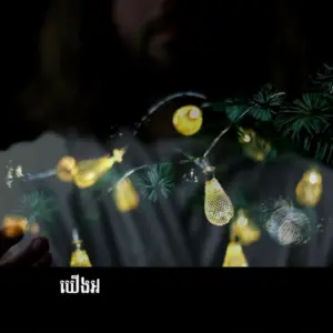 Person holding glowing yellow fairy lights with green foliage, creating a magical atmosphere.