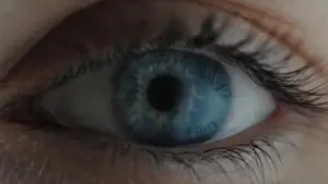 Close-up of a human eye highlighting vivid blue iris, dark pupil, and intricate eyelashes in natural light.