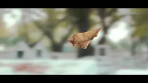 A floating leaf captured in mid-air with a blurred park background, highlighting autumn's beauty and tranquility.