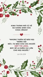 Festive holiday image featuring green leaves and red berries with a religious quote about Christmas and Jesus.