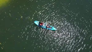 Aerial view of a kayak with two people paddling on a shimmering river surrounded by lush greenery.