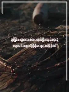 A close-up of a thorny branch on the ground, symbolizing hardship and resilience, with blurred background details.