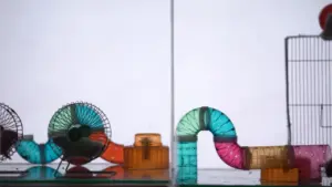 Colorful pet tunnels and wheels arranged in a playful, interactive setup for small animals' enjoyment and exercise.