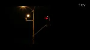 Red traffic light illuminated at night with street lamp glowing in a dark urban setting.