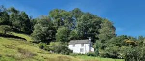 Charming white cottage nestled among lush green trees under a bright blue sky, set in a tranquil hillside landscape.